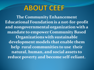 About CEEF